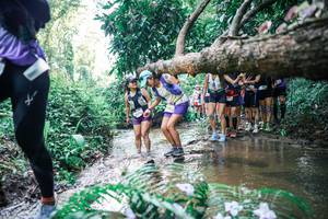 BIB: 
                            <button type="button" onclick="openModal(25466734)" class="btn btn-primary btn-sm float-right btn-popup" data-toggle="modal" data-target=".modal-high-quality">
                        <i class="fas fa-shopping-cart"></i> Add to Cart
                    </button>
                                            <button type="button" onclick="isThisMe(25466734, true)" class="btn btn-success btn-sm float-right btn-popup btn-isme hidden" data-toggle="tooltip" data-placement="bottom" title="นี่คือรูปของคุณใช่ไหม คลิกที่นี่เพื่อเอาเข้าอัลบั้ม">
                        <i class="fas fa-plus"></i> Add to album
                    </button>
                    <button type="button" onclick="isThisMe(25466734, false)" class="btn btn-warning btn-sm float-right btn-popup btn-isnotme hidden">
                        <i class="fas fa-ban"></i> Remove from album
                    </button>